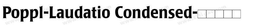 Poppl-Laudatio Condensed字体转换